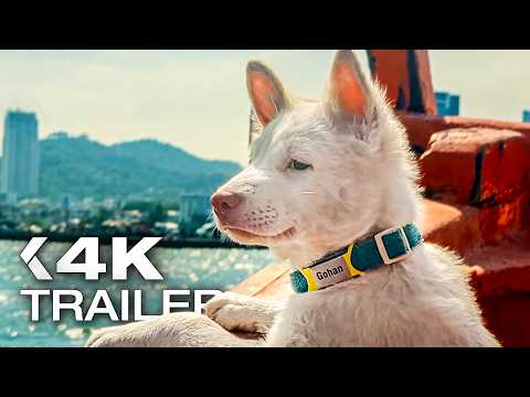 GOHAN: Drei Leben auf vier Pfoten Trailer German Deutsch (2026) Exklusiv